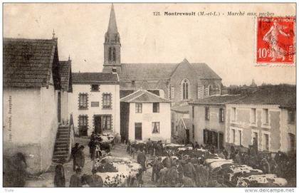 MONTREVAULT MARCHE AUX VACHES