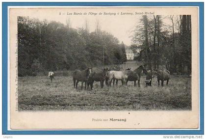 91 - MORSANG sur ORGE --  Prairie sur Morsang