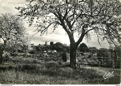 78 - Neauphle le Château - La Campagne - CPSM grand format - Voir Scans Recto-Verso