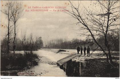 CPA NEGREPELISSE Vue de l'Aveyron (979298)