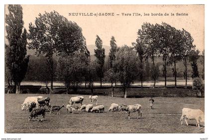 Neuville sur Saône - Vers l'Ile