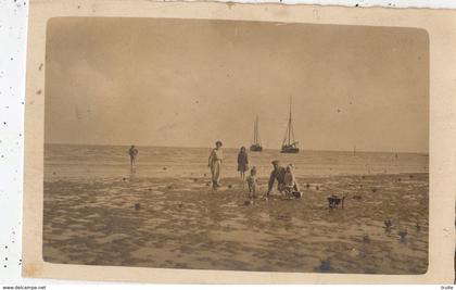 NOIRMOUTIER GROUPE DE PERSONNES QUI FONT UNE PARTIE DE PECHE A MAREE BASSE  (CARTE PHOTO )