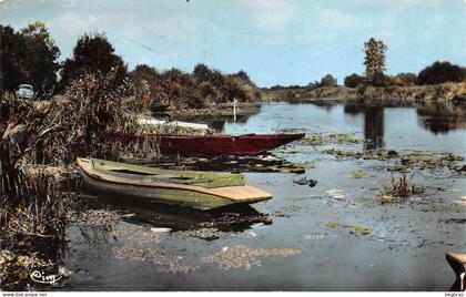 NORT SUR ERDRE      L ERDRE A LA PAUPINIERE