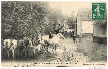 Noyelles sur mer : l'abreuvoir