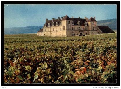 21 Nuits-Saint-Georges chateau vignes D21D K21464K C21464C RH100921