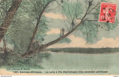 ORLEANS (ENVIRONS) : LA LOIRE A L'ILE CHARLEMAGNE (UNE ASCENSION PERILLEUSE)