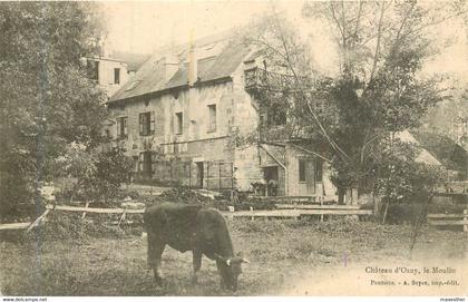 OSNY le Moulin du Château