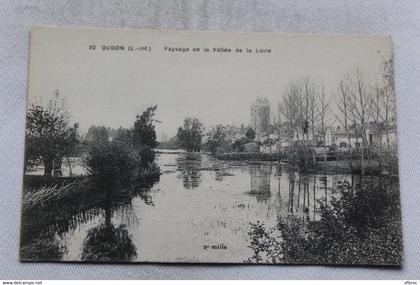 Oudon, paysage de la vallée de la Loire, Loire atlantique 44