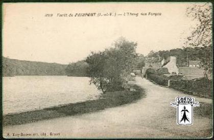 35 Paimpont - 309 Forêt de PAIMPONT (I-et-V) - L´Etang des Forges - cpa