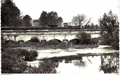 Carte POSTALE  Ancienne  de  PARGNY sur SAULX - Le pont, Canal & la Saulx