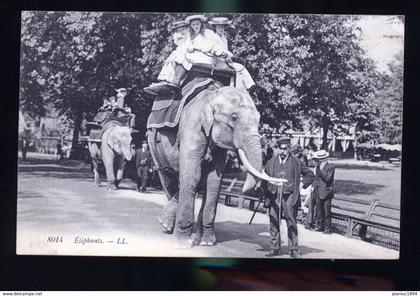 PARIS ELEPHANT