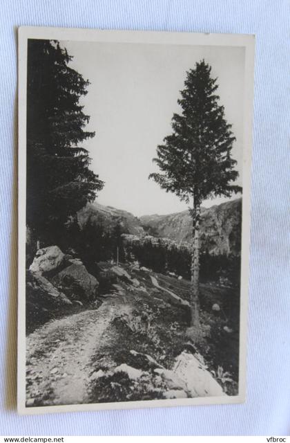 Cpsm 1952, Passy Assy, route du col d'Anterne, Haute Savoie 74