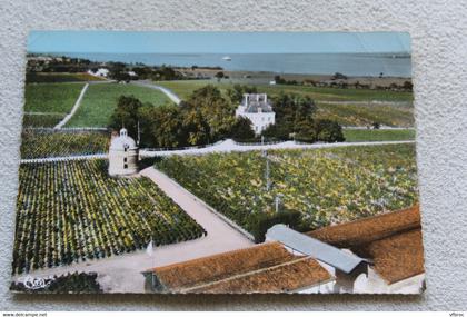 Cpm 1965, Pauillac, vue aérienne, château Latour, Gironde 33