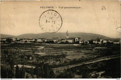 CPA PELUSSIN - Vue panoramique (578627)