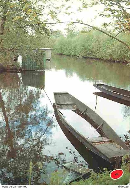 80 - Péronne - La vieille Somme aux environs de Péronne - CPM - Voir Scans Recto-Verso