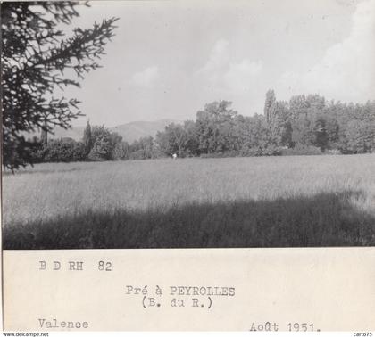 Peyrolles 13 - Pré à Peyrolles - Photographie - Août 1951