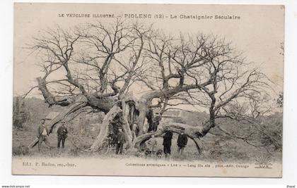 84 VAUCLUSE - PIOLENC Le Chataignier Séculaire