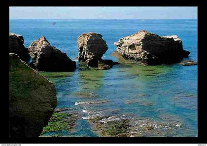 44 - Piriac sur Mer - La côte rocheuse vue de la Pointe du Gastelli - Flamme Postale - CPM - Voir Scans Recto-Verso