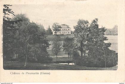 PLEUMARTIN - LE CHATEAU