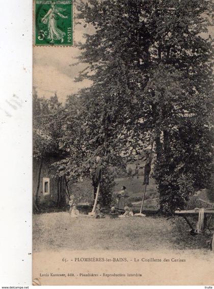 PLOMBIERES-LES-BAINS LA CUEILLETTE DES CERISES