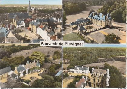 56 - PLUVIGNER - Souvenir de Pluvigner