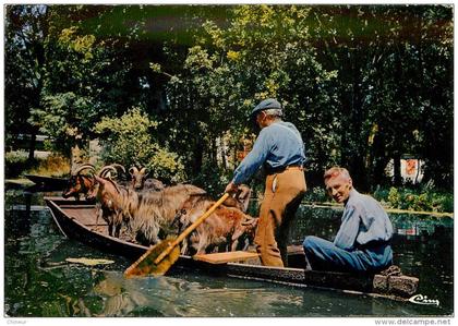 LA VENISE VERTE LE TRANSPORT DES ANIMAUX