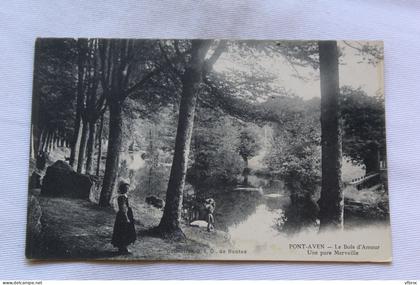 Pont Aven, le bois d'Amour, Finistère 29