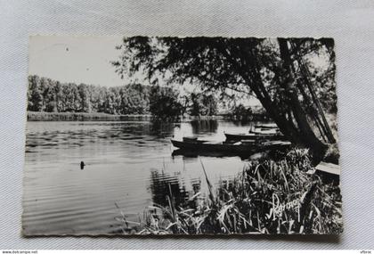 Cpsm 1950, Pont sur Yonne, les bords de l'Yonne 89