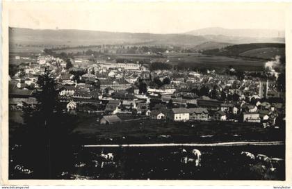 Pontarlier, Vue generale