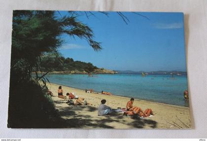 Cpm 1993, ile de Porquerolles, plage de la Courtade, Var 83