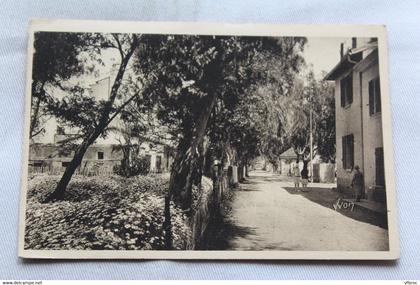 Porquerolles, les iles d'Hyères, la rue principale, Var 83