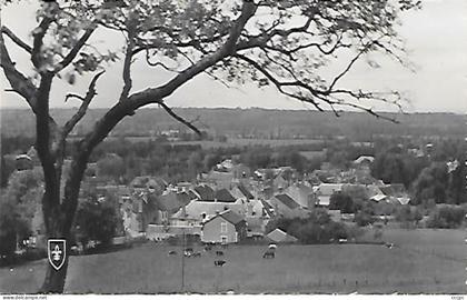 CPSM Pougues-les-Eaux Vue générale