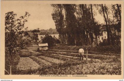 CPA Presles-Courcelles - Cressonniéres (44925)