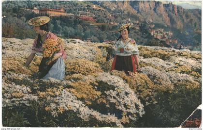 CPA  Carte postale France Côte d'Azur Cueillette des Marguerites  1931  VM69771