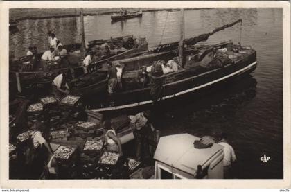 CPA QUIBERON Bateaux Sardiniers (144731)