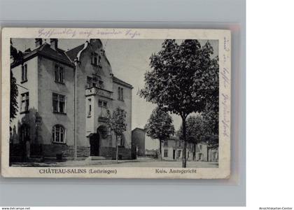 50267673 - Chateau Salins i. Lothringen (F) Kaiserl. Amtsgericht