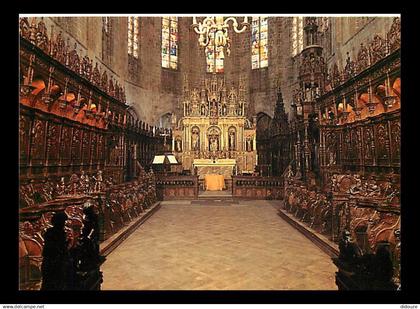 31 - Saint Bertrand de Comminges - CPM - Voir Scans Recto-Verso