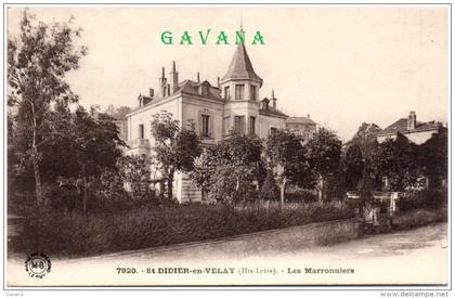 43 SAINT-DIDIER-en-VELAY - Les Marronniers  (Recto/Verso)