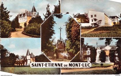 ¤¤  -  SAINT-ETIENNE-de-MONTLUC    -  Multivues     -  ¤¤