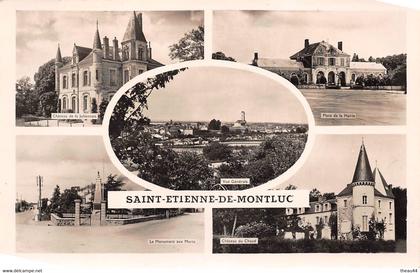 ¤¤   -  SAINT-ETIENNE-de-MONTLUC   -   Multivues      -   ¤¤