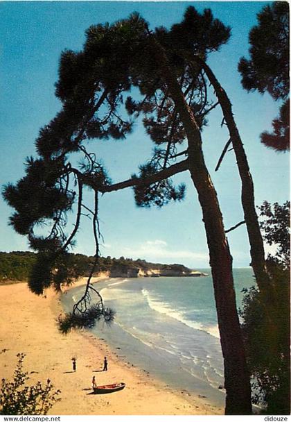 17 - Saint Georges de Didonne - Corniche de Saint Georges de Didonne à Meschers - La Plage de Suzac - CPM - Voir Scans R