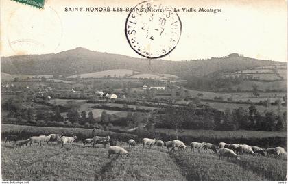 Carte Postale ancienne de SAINT HONORE les BAINS