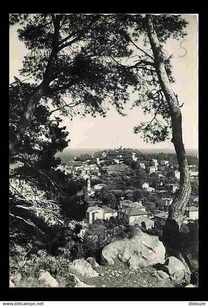 06 - Saint Jean Cap Ferrat - Pointe Sainte Hospice - CPM - Voir Scans Recto-Verso