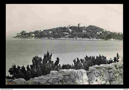 06 - Saint Jean Cap Ferrat - Vue sur la Pointe de Sainte Hospice - CPM - Voir Scans Recto-Verso