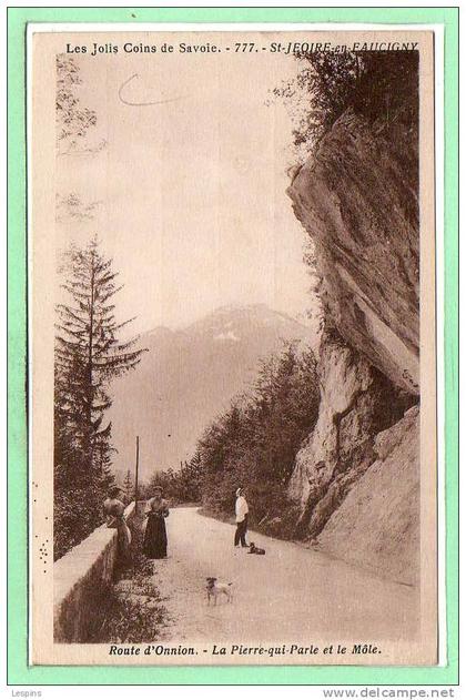 74 - SAINT JEOIRE -- Route d'Onnnion....