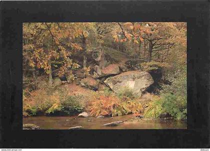 87 - Saint Junien - Environs de Saint Junien - Le site Corot - CPM - Voir Scans Recto-Verso