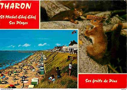 44 - Tharon Plage Saint Michel Chef Chef - Multivues - Plage - Ecureuil - CPM - Voir Scans Recto-Verso