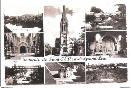 Saint-Philbert-de-Grand-Lieu (44 - Loire Atlantique) multivues