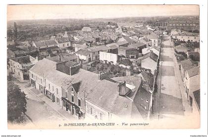 Saint-Philbert-de-Grand-Lieu (44 - Loire Atlantique ) vue panoramique