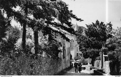 SAINT-PONS-de-THOMIERES (Hérault) - Vieille Rue - Le Languedoc